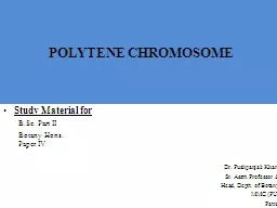 POLYTENE CHROMOSOME Study Material for