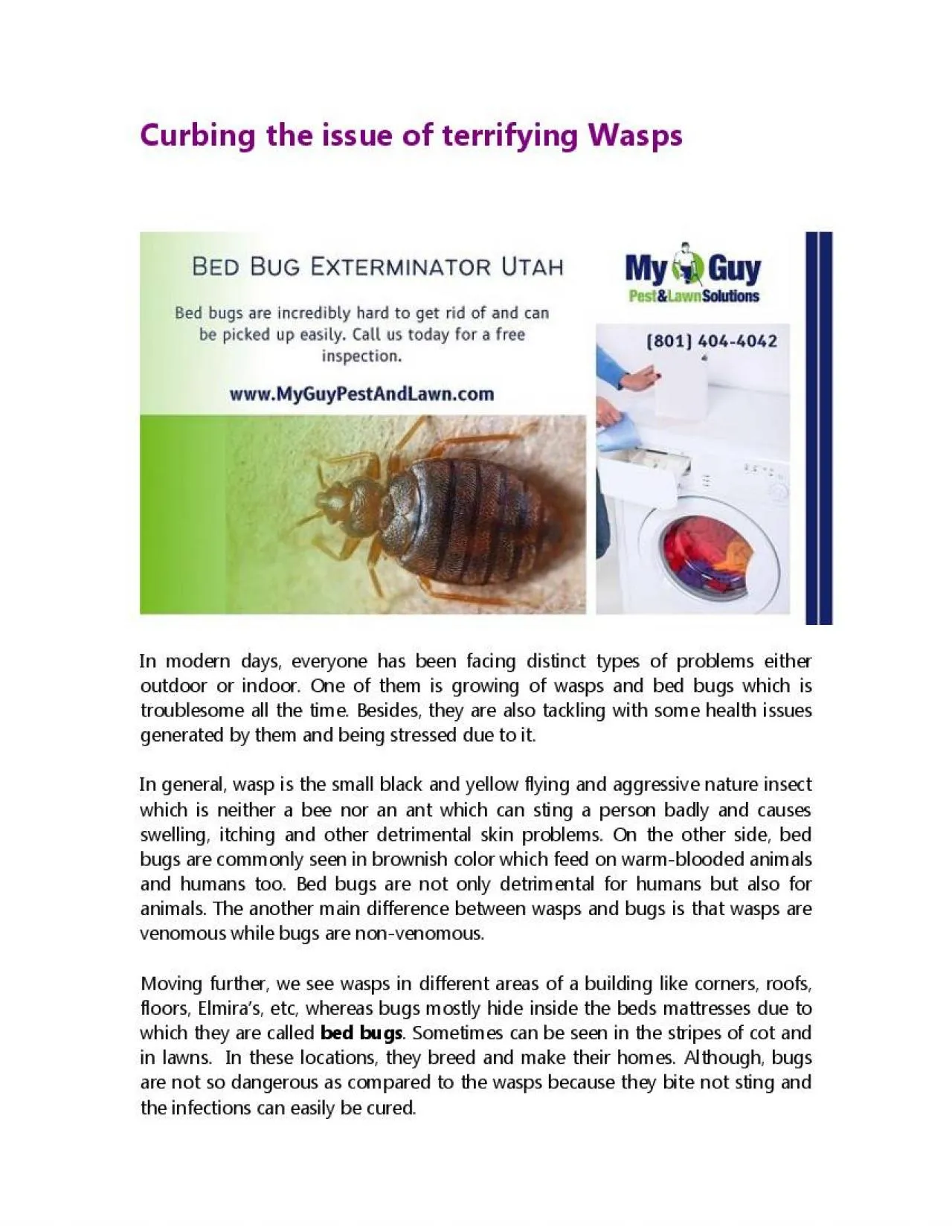 PDF-Curbing the issue of terrifying Wasps