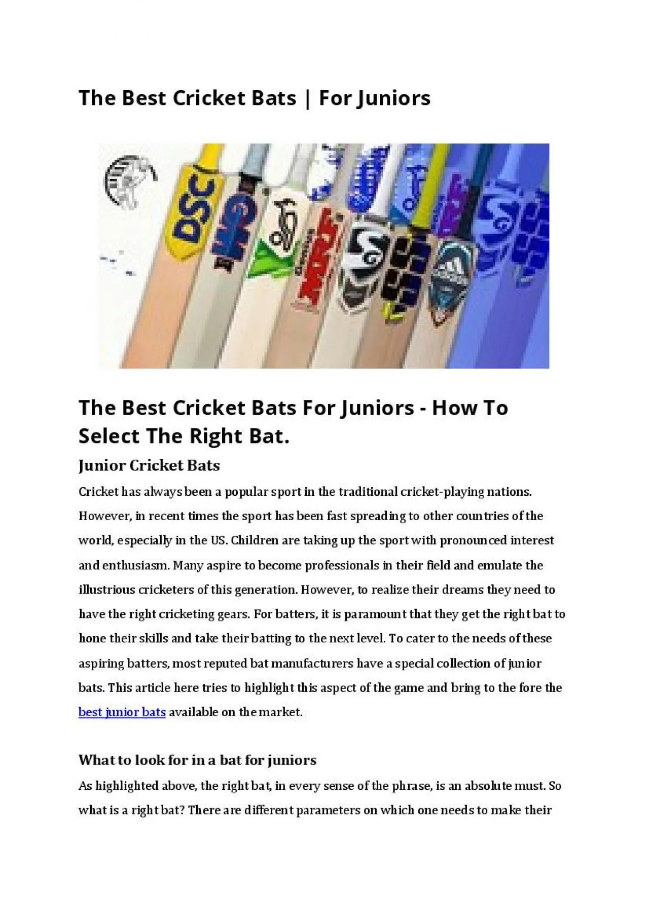 PDF-The Best Cricket Bats | For Juniors