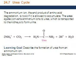 24.7  Urea Cycle The ammonium ion, the end product of amino acid degradation, is toxic