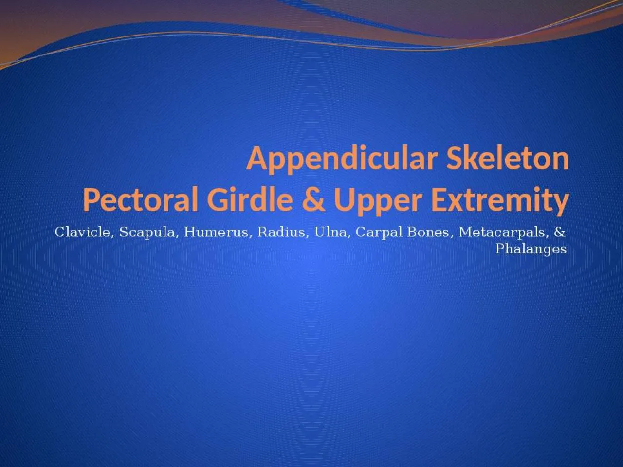 PPT-Appendicular Skeleton Pectoral Girdle & Upper Extremity