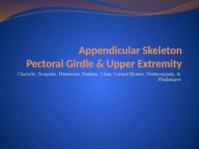 Appendicular Skeleton Pectoral Girdle & Upper Extremity