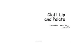 Cleft Lip and Palate Katherine Lamb,