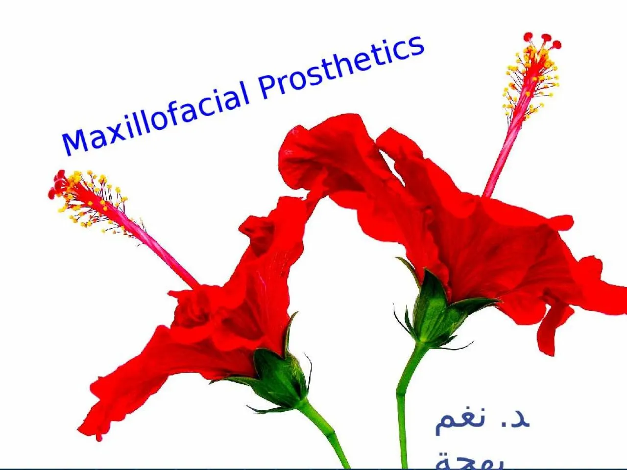 PPT-Maxillofacial Prosthetics