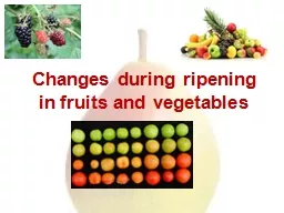 Changes during ripening in fruits and vegetables