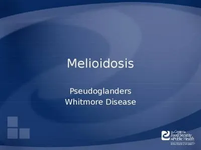 Melioidosis Pseudoglanders