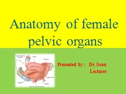 Anatomy of female         pelvic organs
