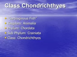 Class  Chondrichthyes “