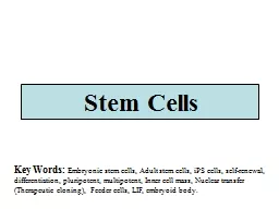 Stem Cells Key Words:  Embryonic stem cells, Adult stem cells,