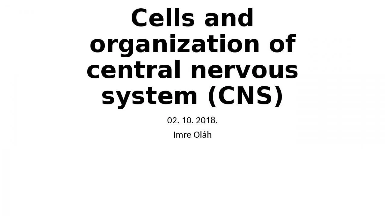 PPT-Cells and organization