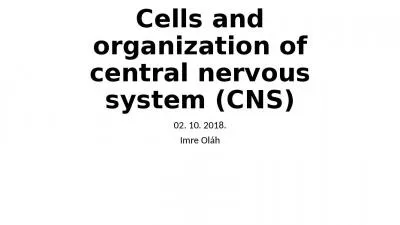 Cells  and  organization