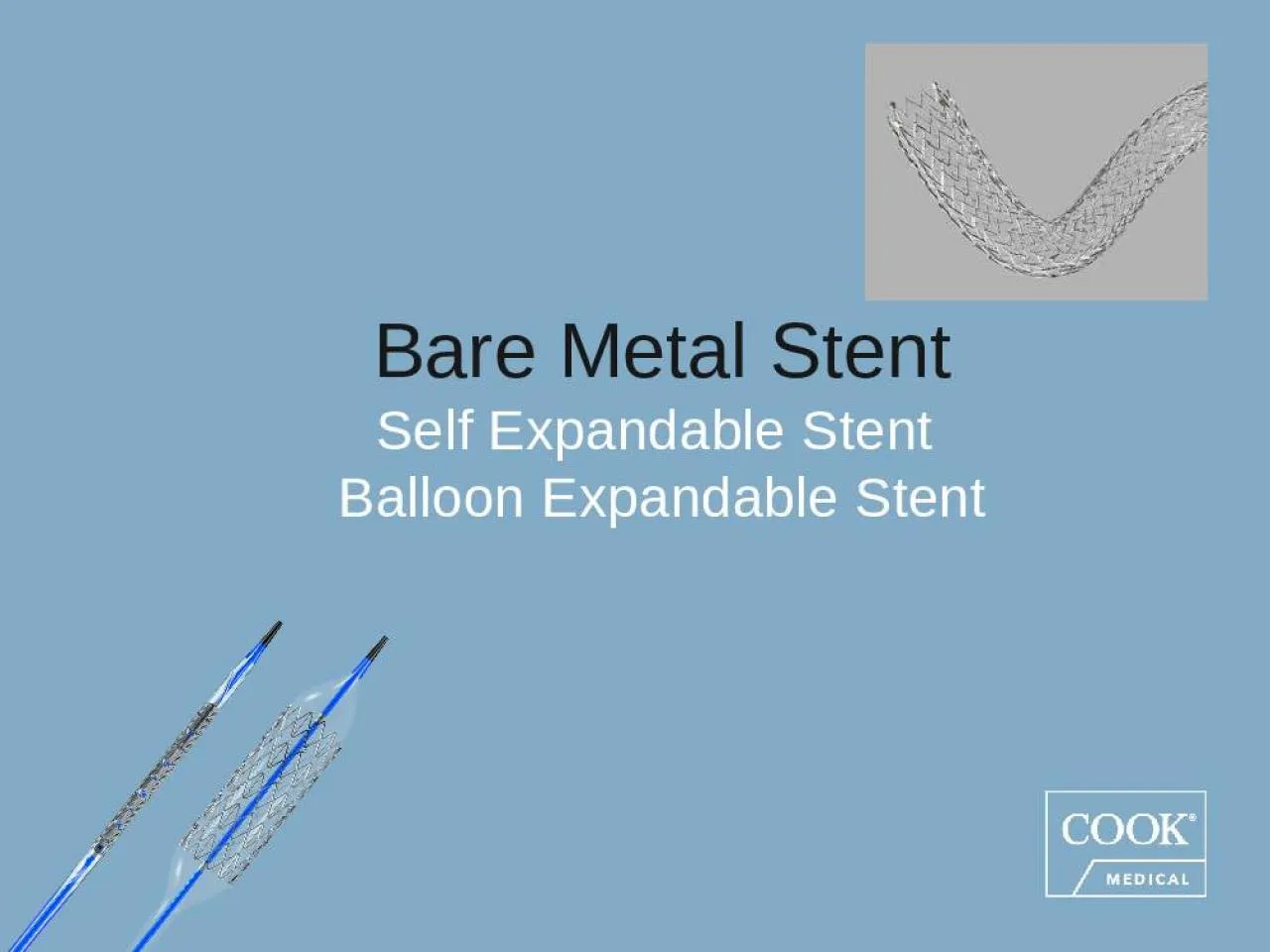 PPT-Bare Metal Stent Self