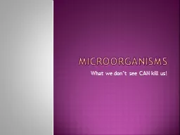 MicroorganismS What we don’t see CAN kill us!