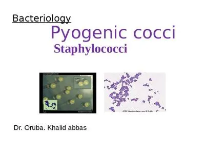 Bacteriology        Pyogenic cocci