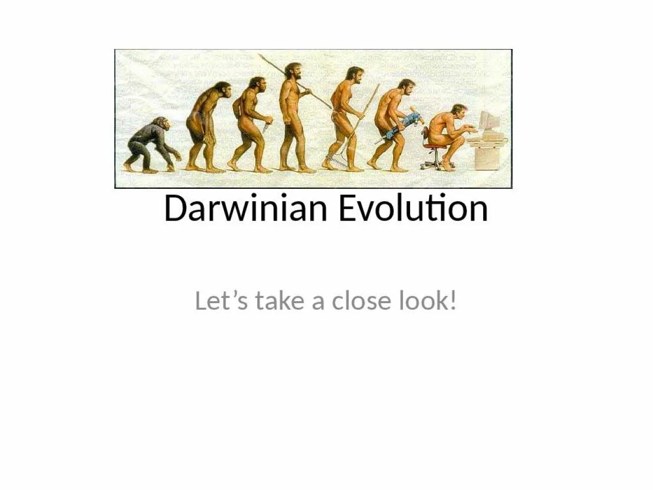 PPT-Darwinian Evolution Let’s take a close look!