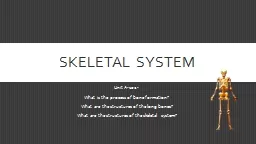 Skeletal system Unit A-102-