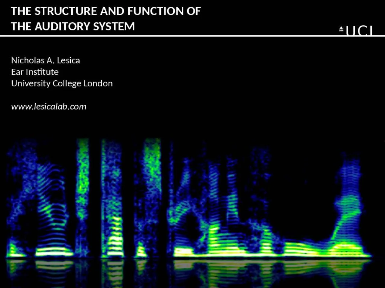 PPT-Nicholas A. Lesica Ear Institute