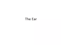 The Ear Cochlea External Auditory Canal