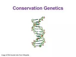 Conservation Genetics Image of DNA double helix from Wikipedia