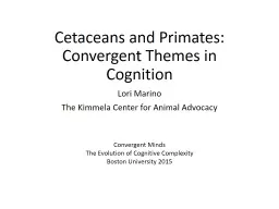 Cetaceans and Primates: Convergent Themes in Cognition