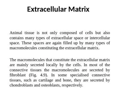 Extracellular Matrix Animal tissue is not only composed of cells but also contains many types of ex