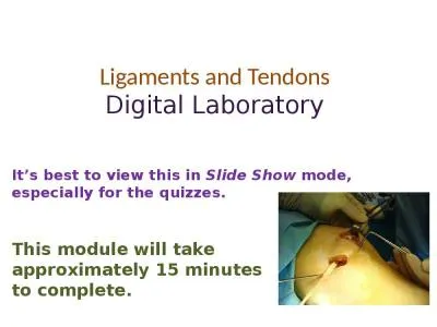 Ligaments and Tendons Digital Laboratory