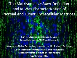 The  Matrisome :  In  Silico