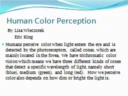 Human Color Perception  By: Lisa Wieczorek