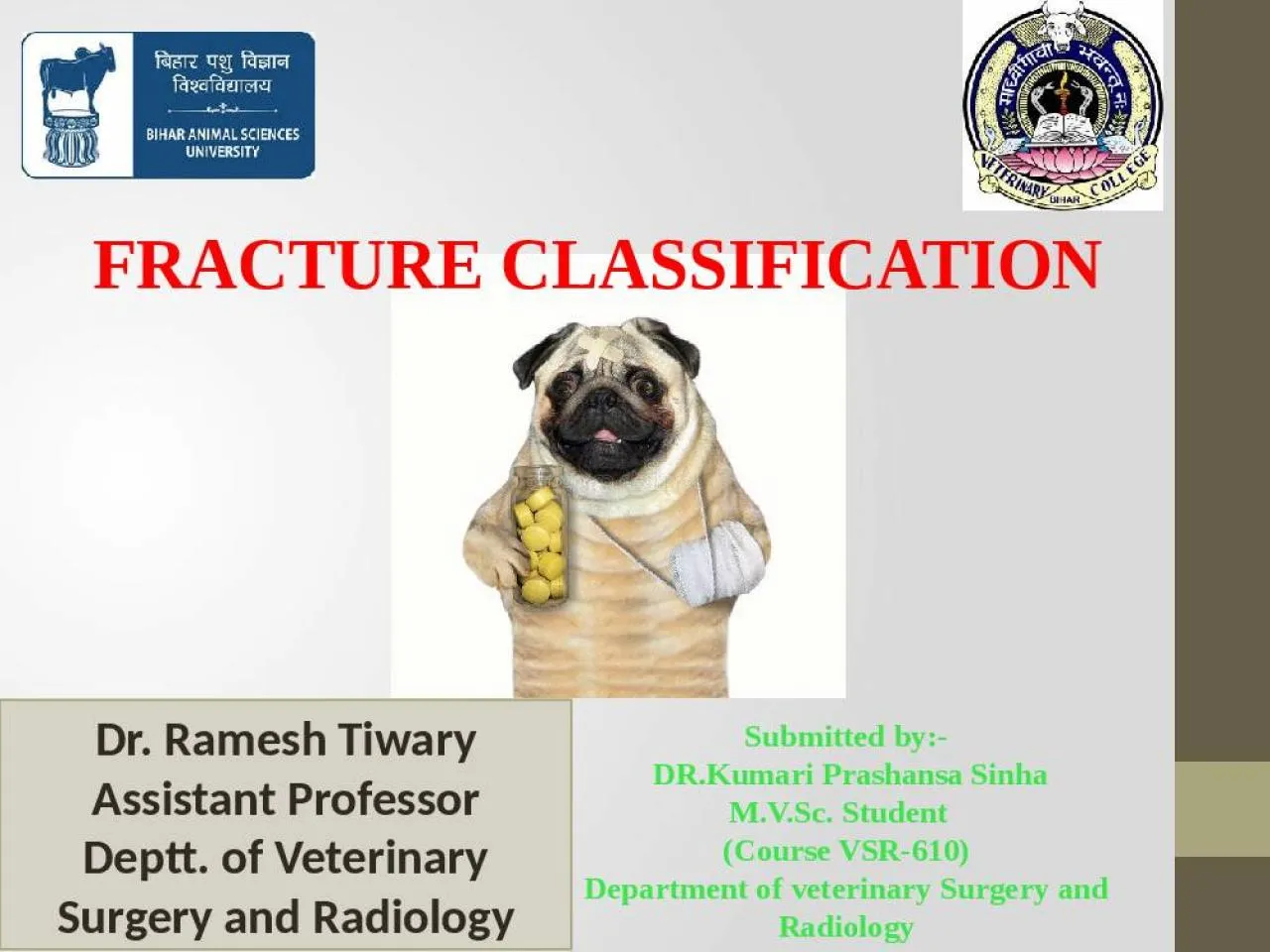 PPT-FRACTURE CLASSIFICATION Submitted by:-