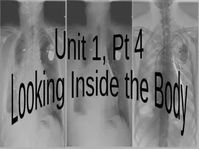 Unit 1, Pt 4 Looking Inside the Body