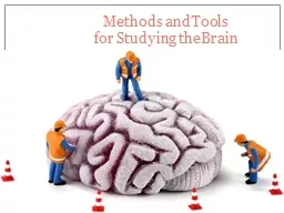 Methods and Tools  for Studying the Brain