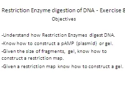 Restriction Enzyme digestion of DNA - Exercise 8