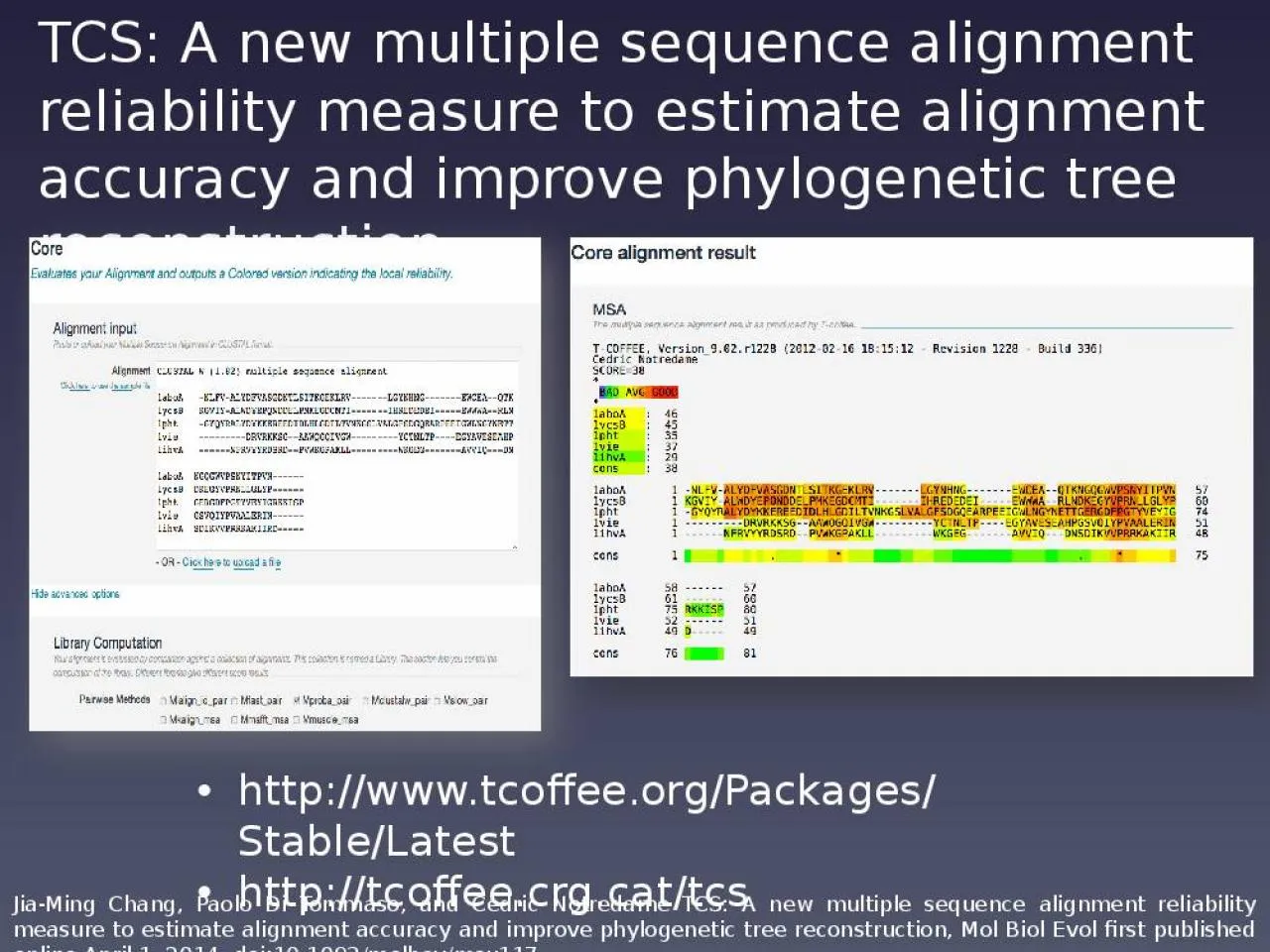 PPT-TCS: A new multiple sequence alignment reliability measure to estimate alignment accuracy