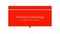 The heart’s physiology