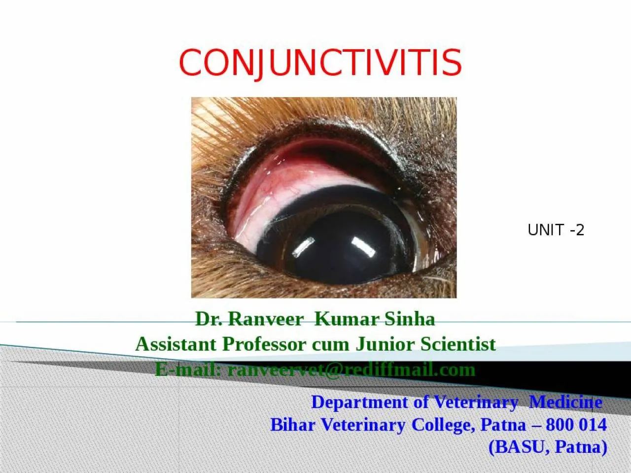 PPT-Department of Veterinary Medicine