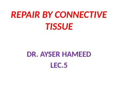 REPAIR BY CONNECTIVE TISSUE