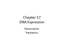 Chapter 17 DNA Expression