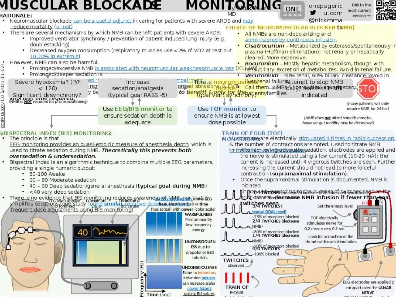 PPT-neuromuscular blockade monitoring