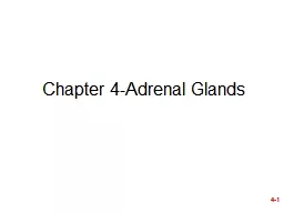 Chapter 4-Adrenal Glands