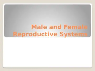 Male and Female Reproductive Systems