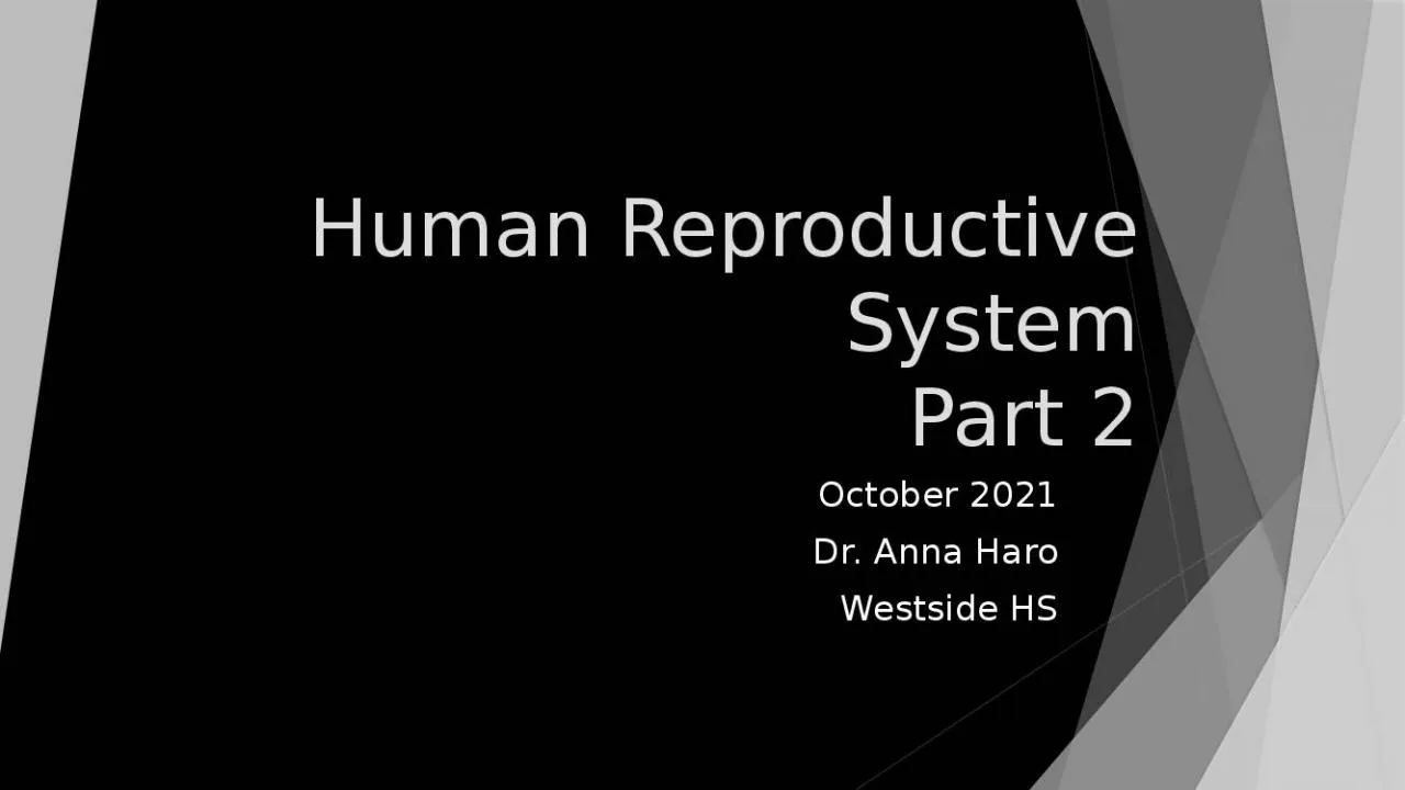 PPT-Human Reproductive System