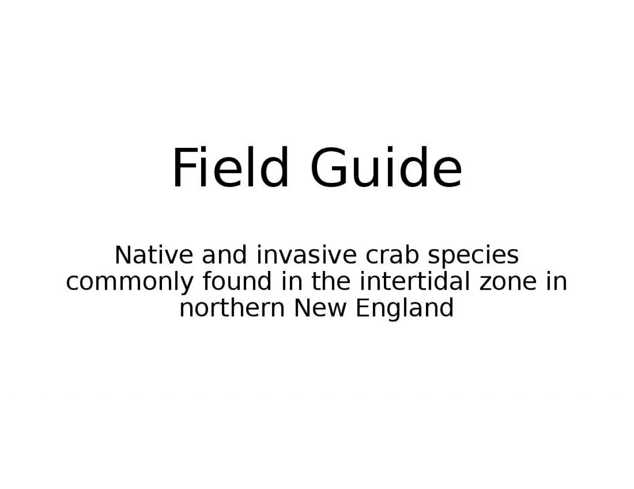 PPT-Field Guide Native and invasive crab species