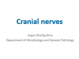 Cranial nerves Aygul   Shafigullina