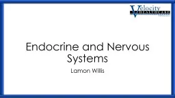 Endocrine and Nervous Systems