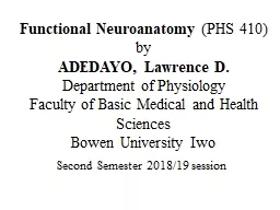 Functional  Neuroanatomy