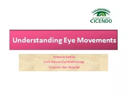 Understanding Eye Movements