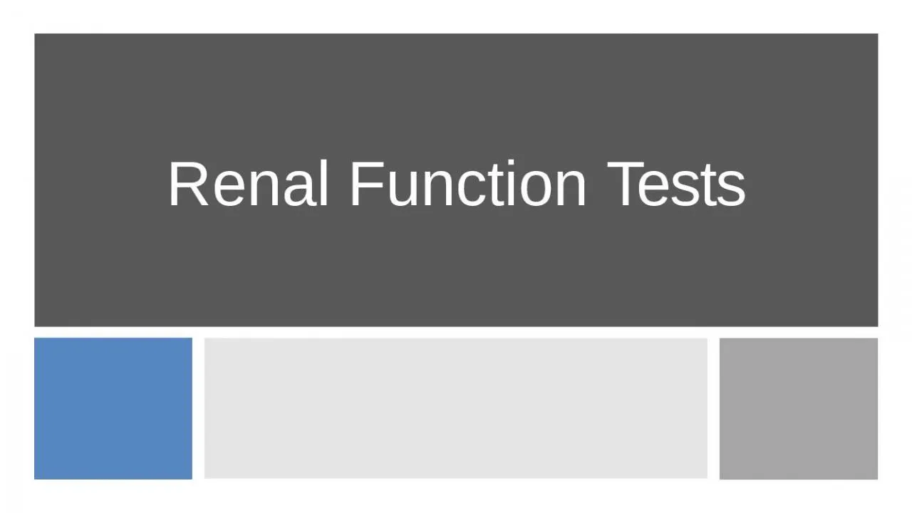 PPT-Renal Function Tests Kidney