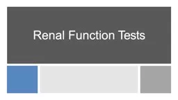 Renal Function   Tests Kidney