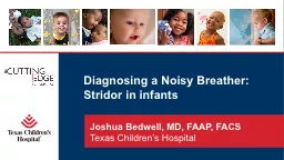 PPT-Diagnosing a Noisy Breather: