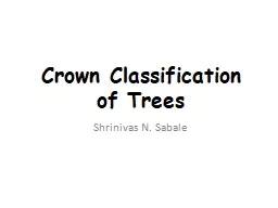 Crown Classification of Trees